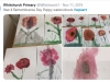 y4 poppies